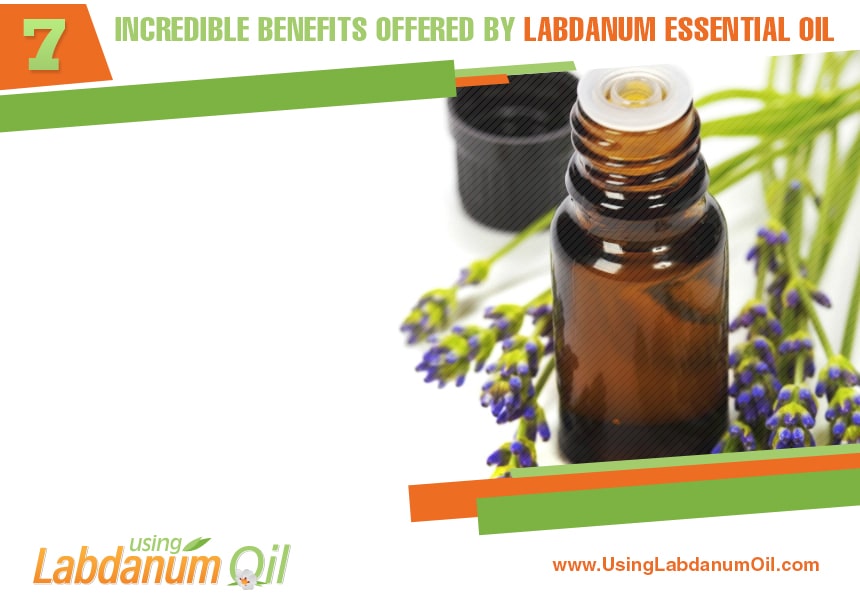 how to use labdanum oil