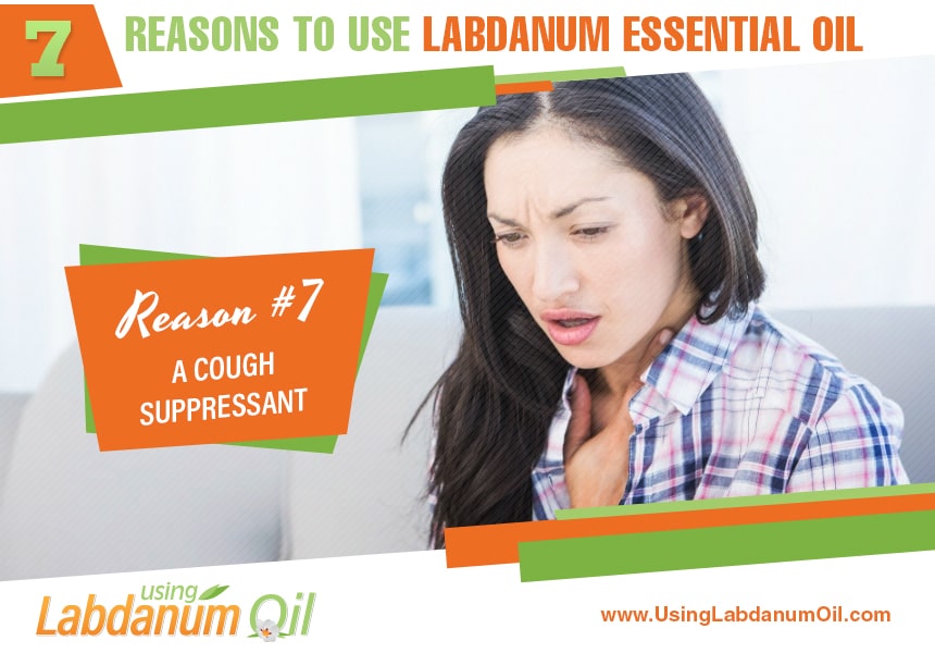 what is labdanum oil used for